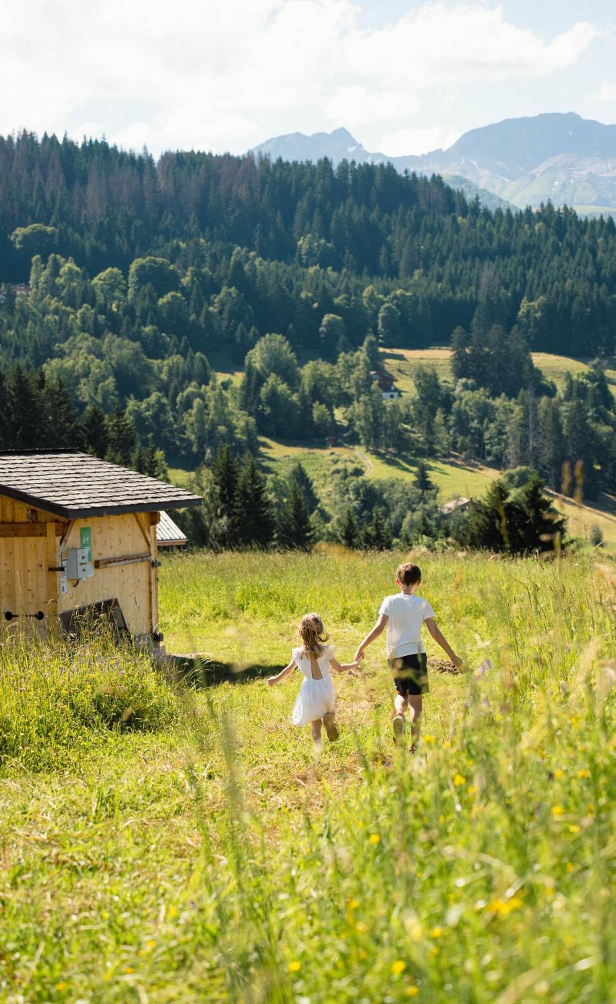 Chalet Alpen Valley, Mont-Blanc Combloux Luaran gambar