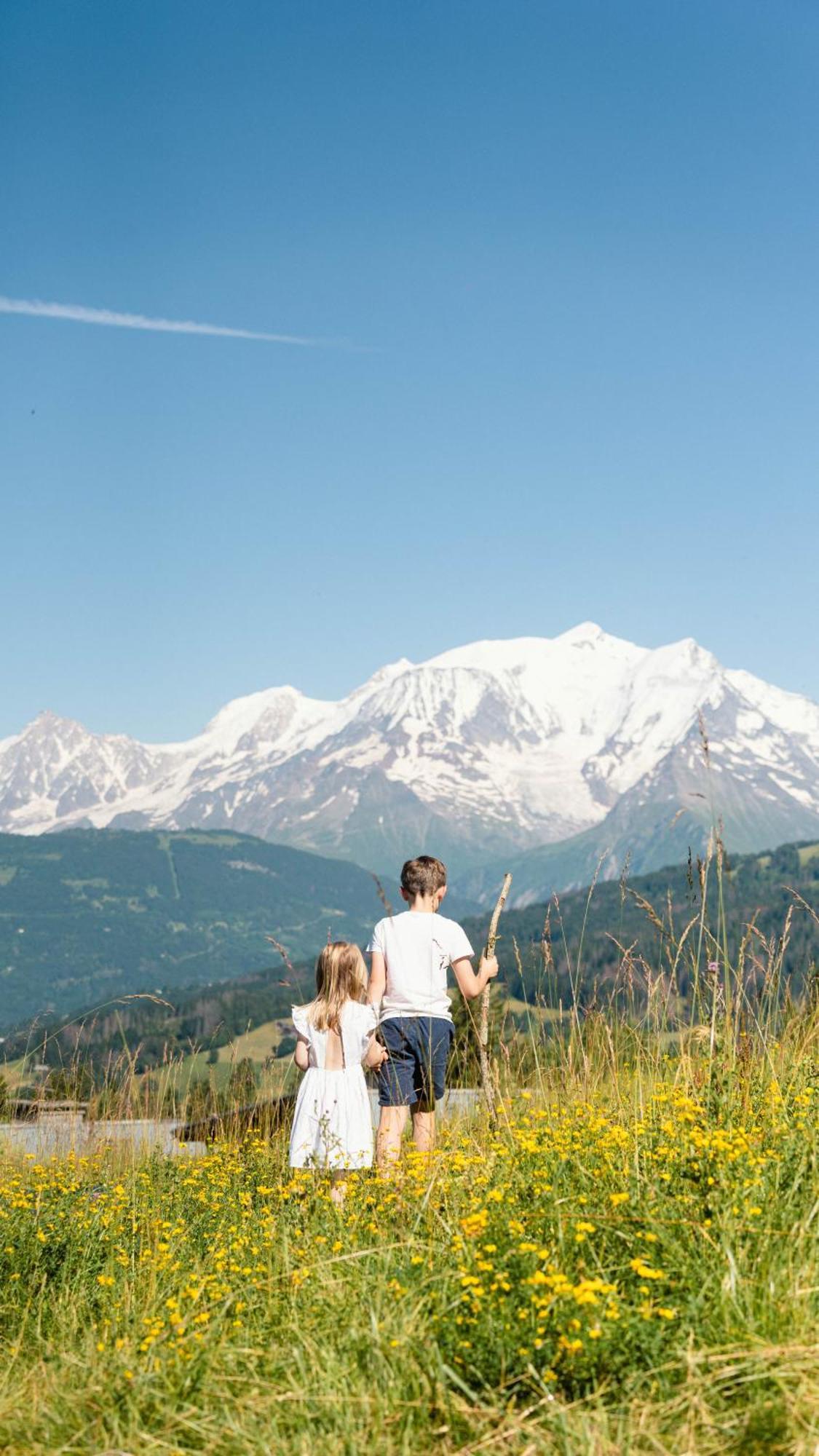 Chalet Alpen Valley, Mont-Blanc Combloux Luaran gambar